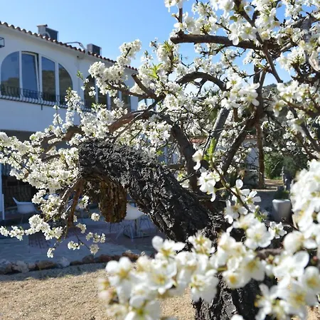 Apartmán Casa Jiby Llosa de Camacho