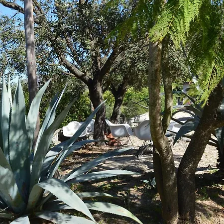 Apartmán Casa Jiby